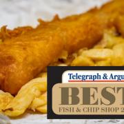 The T&A is launching a competition to find the Best Fish and Chip Shop in the Bradford area.
