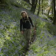 Many woods contain a carpet of bluebells in spring. Picture: Mick Ryan at fotoVUE