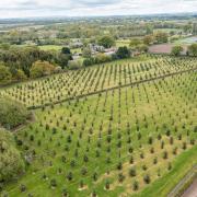 A new scheme to encourage landowners to plant trees has been launched this week