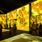 The Van Gogh Alive gallery experience pictured. The image shows the Dutch artist's iconic Sunflowers lighting up a previous exhibition space. Picture credit: Richard Blake