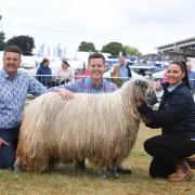 Matt Baker with Rebecca and Liam McPartland from Tadcaster with their Wensleydale ewe.