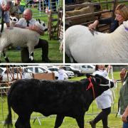 Pictures from a previous Keighley Show