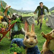 Peter Rabbit is one of the family films being screened at The Studio. Pic: Columbia Pictures