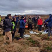 Volunteers plant moss on Ilkley Moor