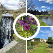 Fancy some fresh air? Here are four of the best National Trust properties and sites you can visit across West Yorkshire to make the most of the spring weather