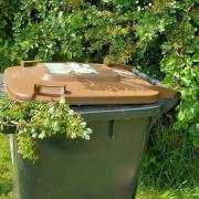 Charges for garden waste bins have risen
