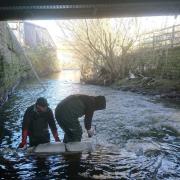 Volunteers from the Friends of Bradford Beck working on the historic waterway