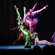 Cirque Du Soleil's spectacular show, Varekai