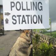 Gerry Crookes's dog Rupert points the way to his local polling station. Picture: Gerry Crookes