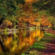 Canal waterway - Autumn - Leeds Liverpool; T&A CC R Mariusz Talarek