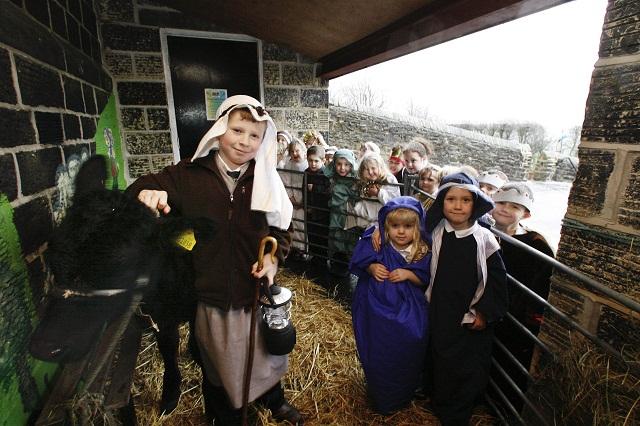 Children from Oldfield Primary School, Keighley, gather for their Nativity, which included appearances from a live cow and two sheep