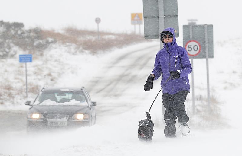 A dog walker braves wintry conditions on Baildon Moor