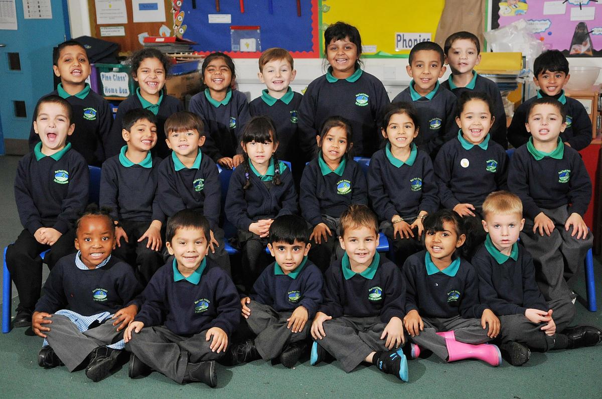 Peel Park Primary School - Pine Class