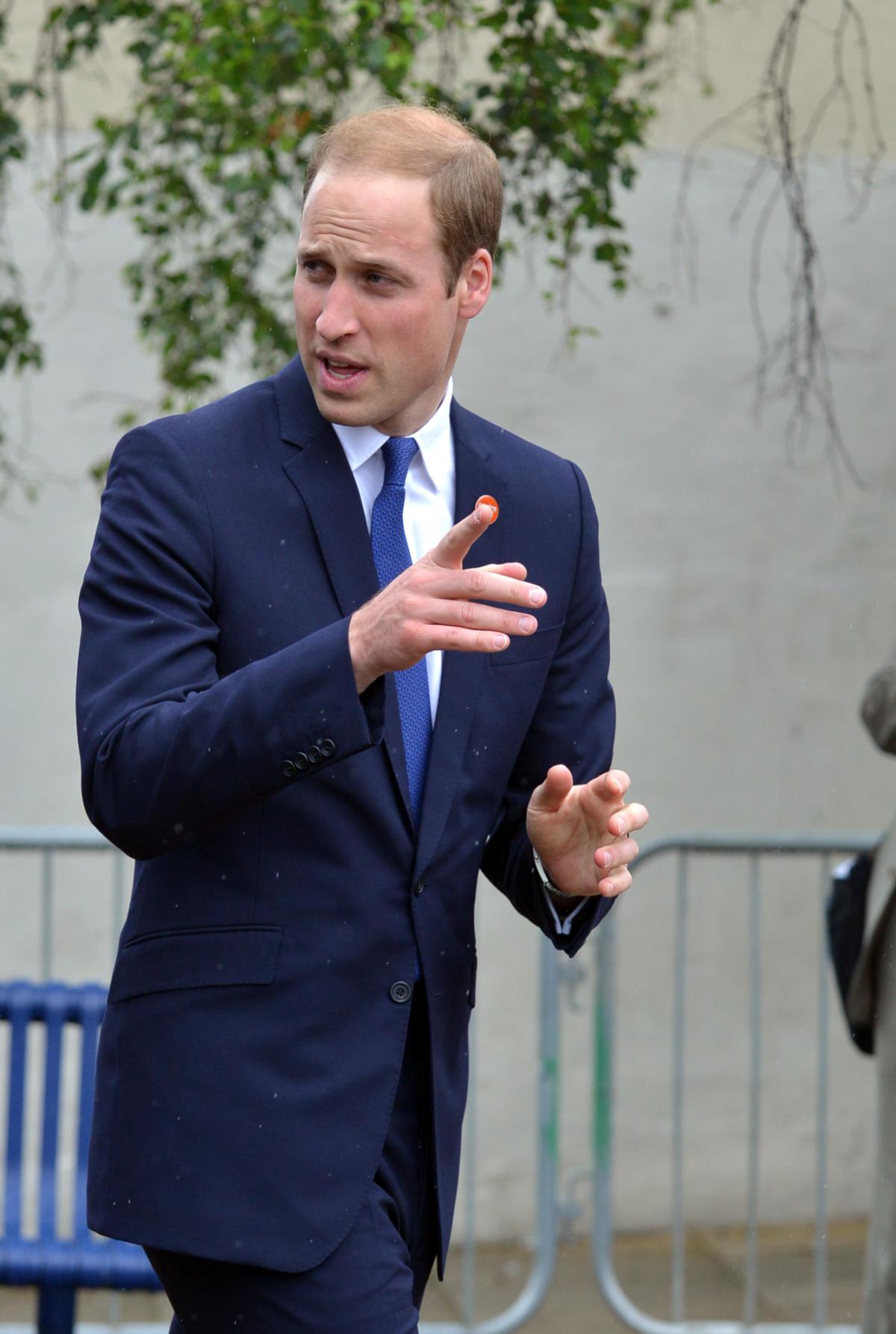 Prince William visit June 2014
