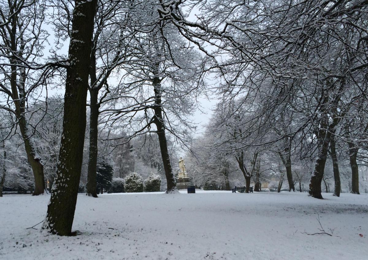 Lister park looking pretty in the snow