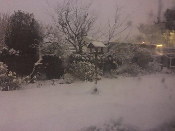 A snowy garden in Wibsey sent to us by @IAmKittyCupcake