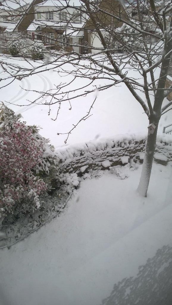 Gabrielle McGuigan's @gabmcgu17 picture of April snow in Queensbury