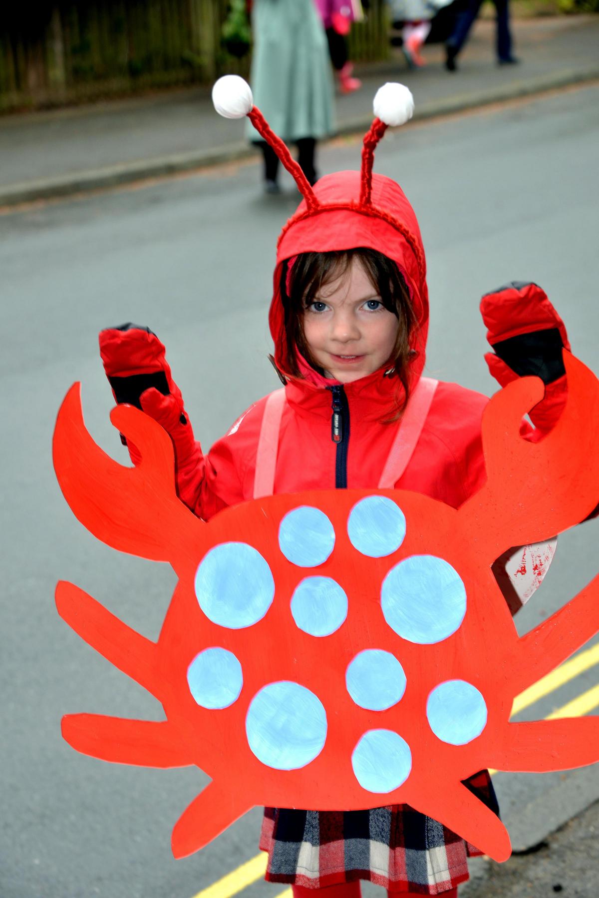 All Saints School pupil Bronte Neasham-Carr, aged five, at Ilkley Carnival