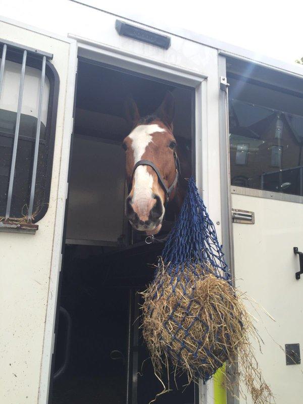 West Yorkshire Police tweeted this picture of a police horse on the way to the game today