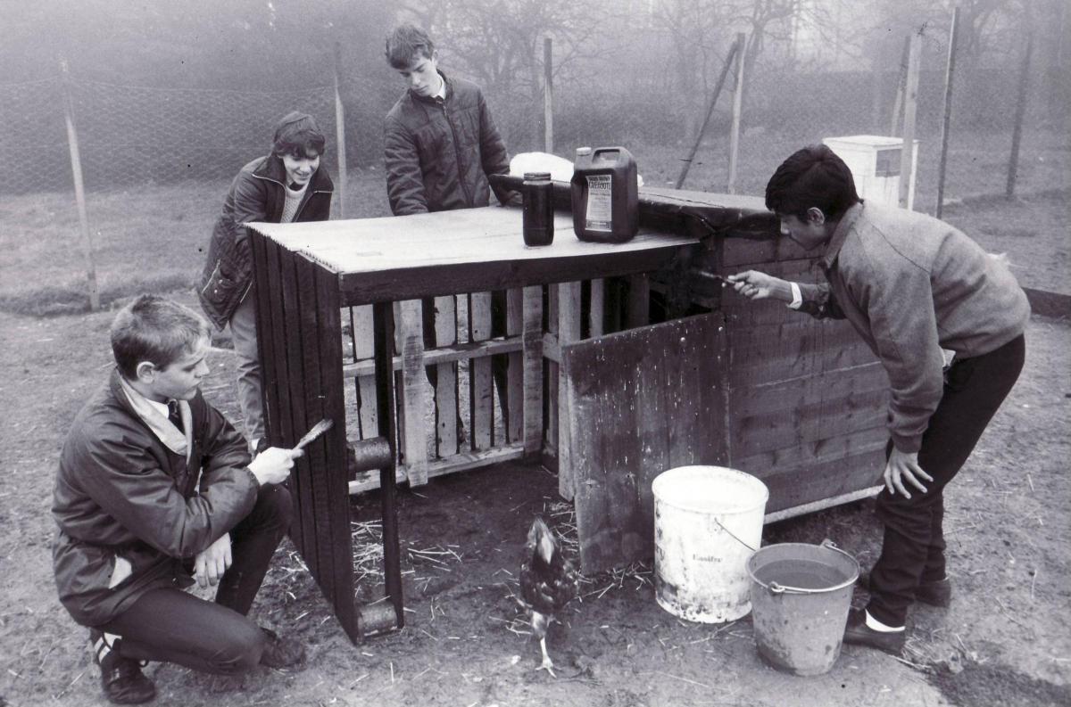 Pupils with a hen run in 1984