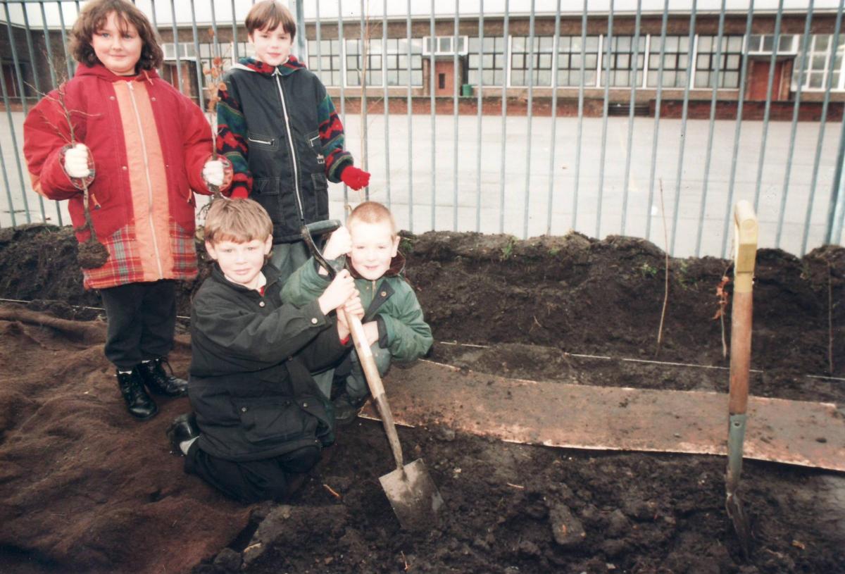 Digging in 1996