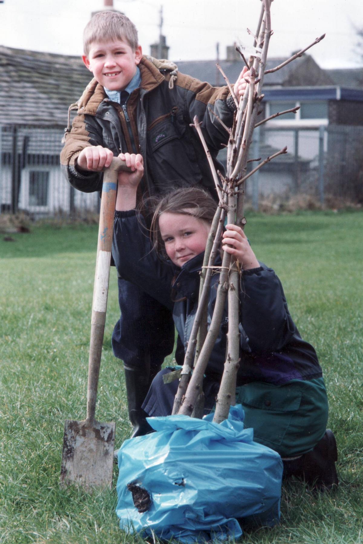 Tree planting  in 1995
