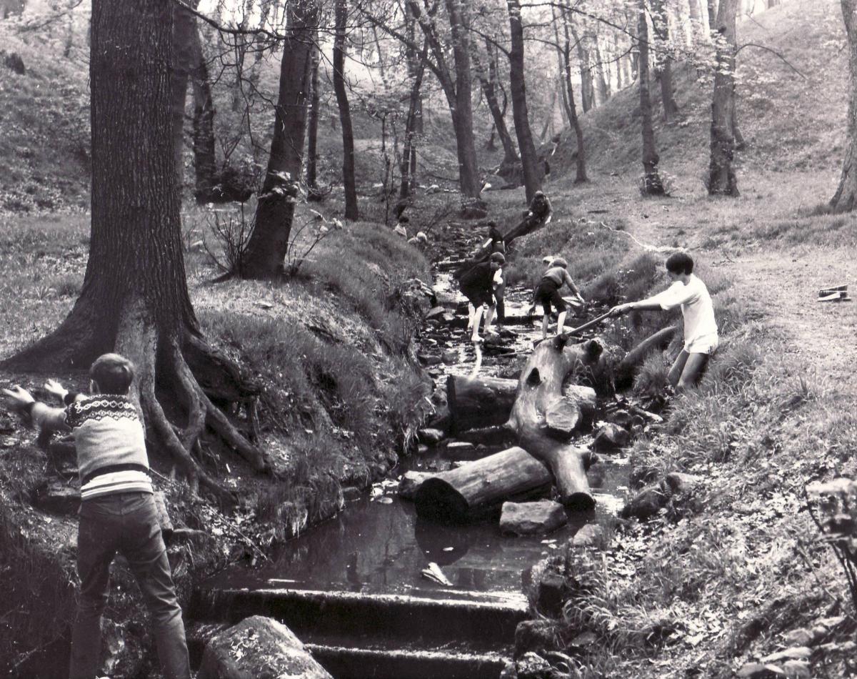 Heaton Woods 1970