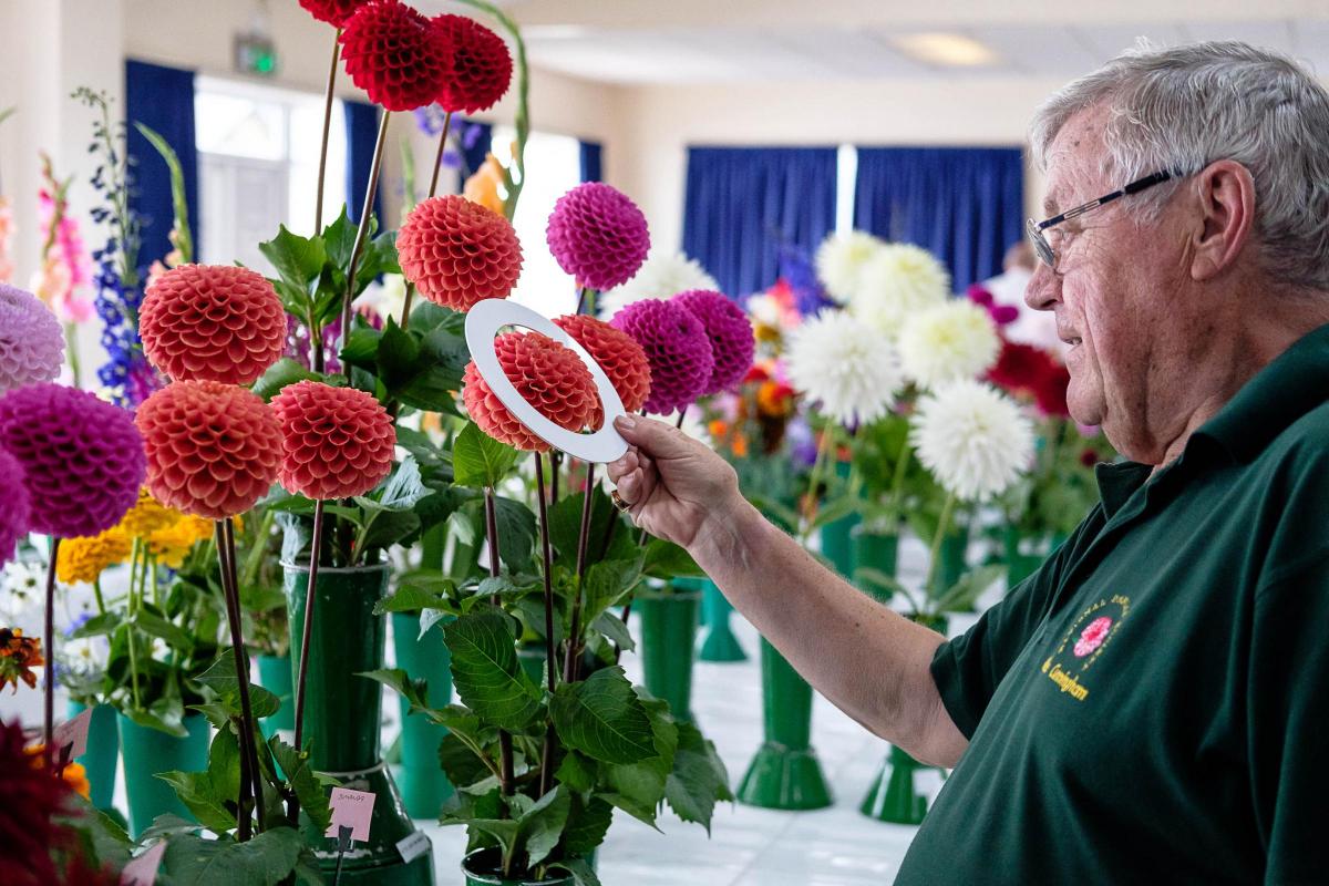 AUGUST Judge Mike Cunningham of the National Dahlia Society at the 100th Eccleshill Horticultural Show