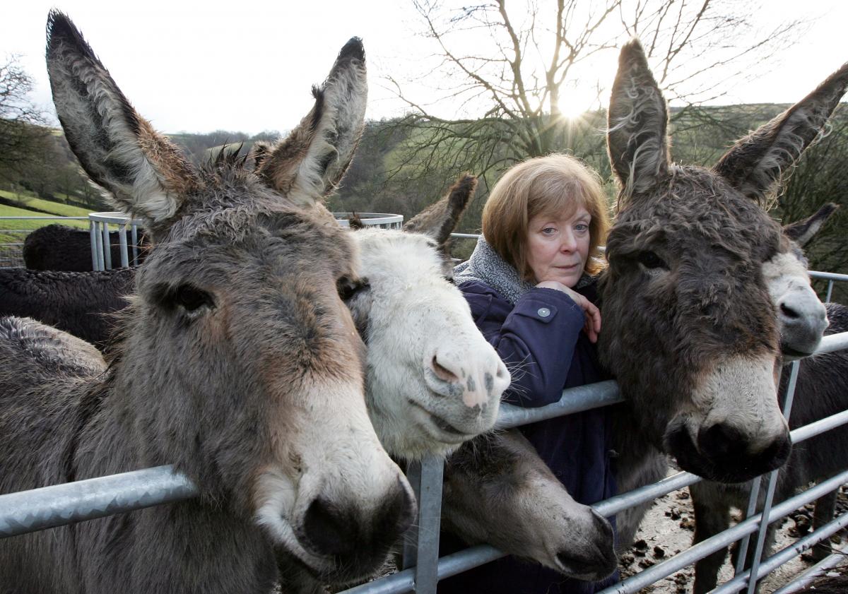 A question mark hangs over the long-term future of 22 donkeys after a planning decision went against their owners Tony and Hazel Ingham.