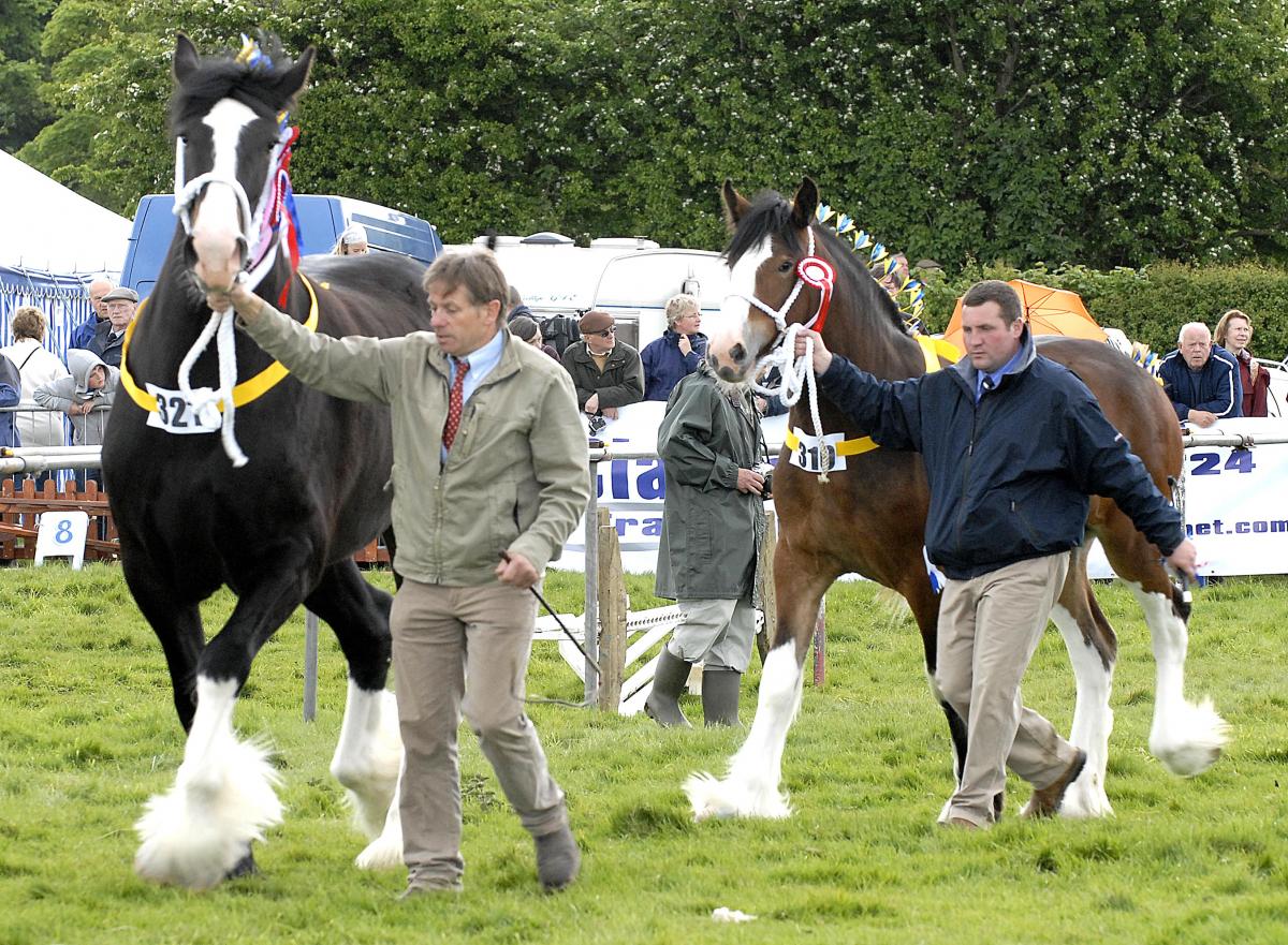 Walter Bedford leads Carnforth Star of Faith, owned by Antony Gribbins, winner of the Horse of the Year Qualifier and Overall Champion, and Tony Gribbin, from Leaventhorpe, Bradford, leads Reserve Champion Horse of the Year Qualifier Leaventhorpe My Girl