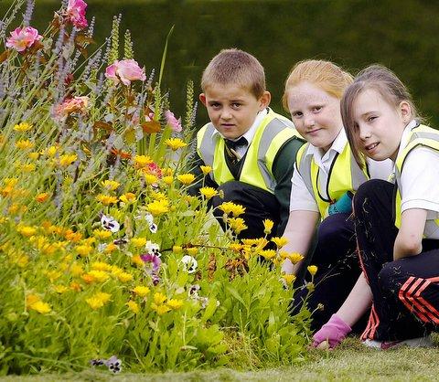 Children at St Anthony’s, Clayton CE and Clayton Village primary schools teamed up with elderly residents in Bradford Road to spruce up areas surrounding their bungalows. 
