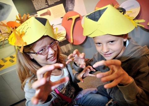 Boys and girls were given animal inspiration at a fun family workshop at Keighley’s Cliffe Castle Museum. 