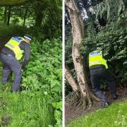 Police carried out knife sweeps at Wibsey Park and Brackenhill Park