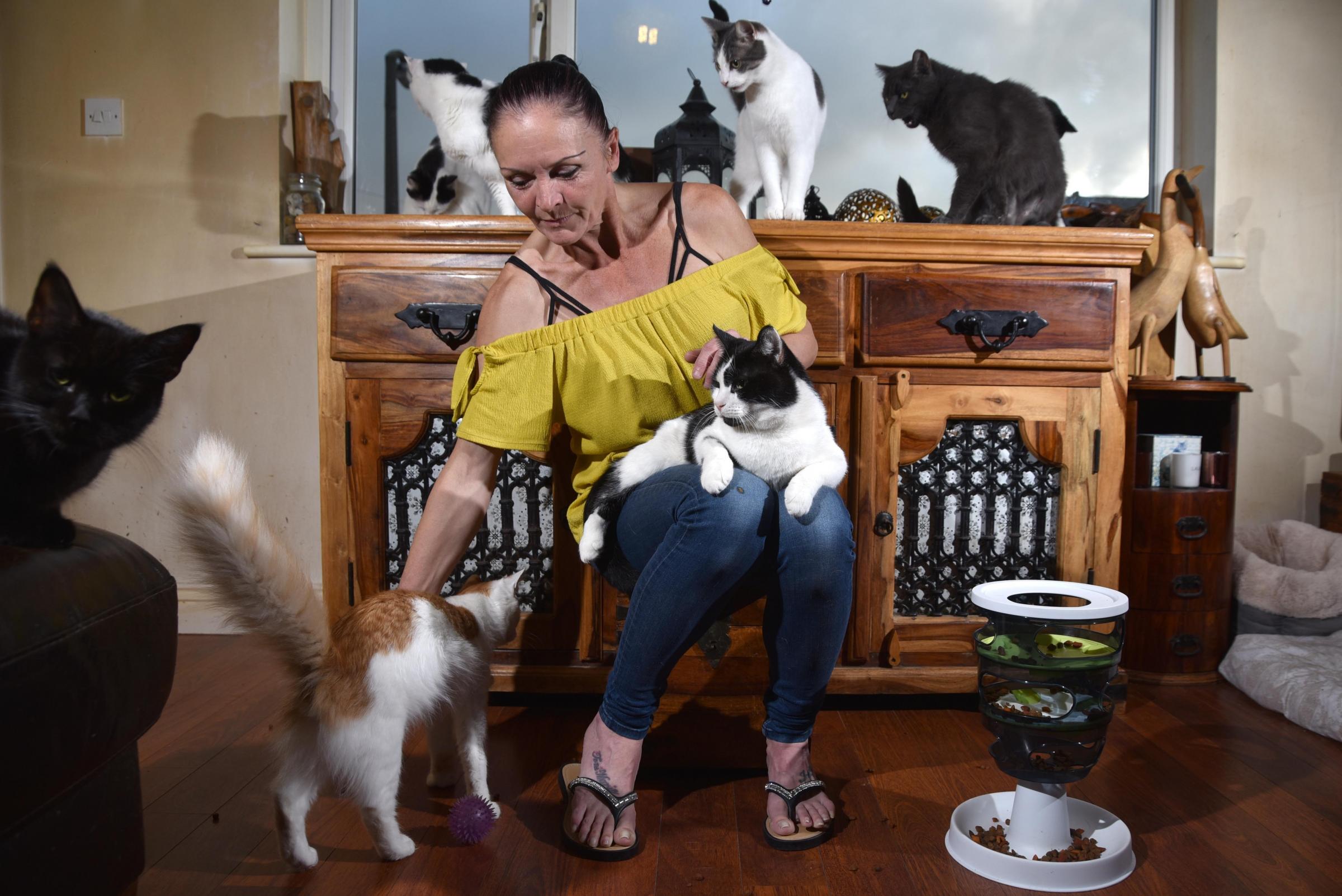 Inside the 'soul destroying' life of a cat rescuer in Bradford