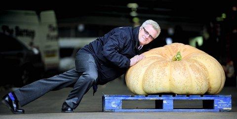 Graham Hallas manoeuvres a giant 400lb pumpkin into position to sell for charity at his stall in St James's Market in Bradford.