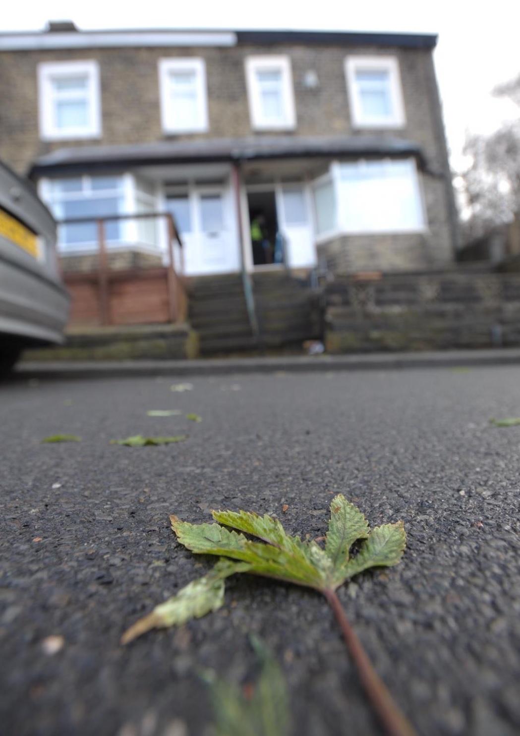 Download Worry For Residents After Shocking Cannabis Farm Burglary Bradford Telegraph And Argus