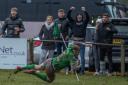 Wharfedale fans celebrate as they sxcore a try in their 16-11 defeat to Caldy in National Two North. Picture: Ro Burridge