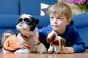Archie, Harden Primary School's therapy dog, offers support to pupils and staff