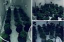 A cannabis grow was found at a home on Cemetery Road, Heckmondwike