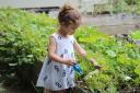 Children can benefit from gardening. Picture: Pexels.com
