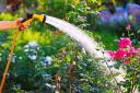 From buying a water butt to keeping on top of weeds, here are 5 affordable ways to prepare for a hosepipe ban in the UK