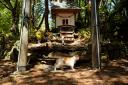 The Cat Shrine is based on Tashirojima island (AP)