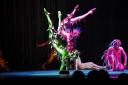 Cirque Du Soleil's spectacular show, Varekai