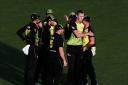 Billy Stanlake celebrates with his Australian team-mates after taking a New Zealand wicket in the T20 international tri-series final at Eden Park in Auckland. Picture: Anthony Au-Yeung/www.photosport.nz