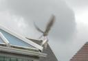 The moment a bird of prey swoops and catches what looks to be a seagull in its talons