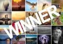 Winner of the Camera Club Yorkshire Photographer of the Year competition revealed