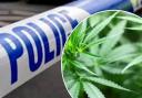 Police arrested a man of suspicion of intent to supply cannabis