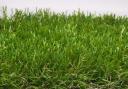 How fake is your grass? Picture: Pixabay