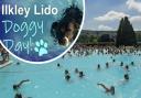 People swimming at Ilkley Lido and, inset, Bradford Council's Doggy Day poster