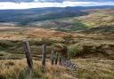 The view from Great Whernside